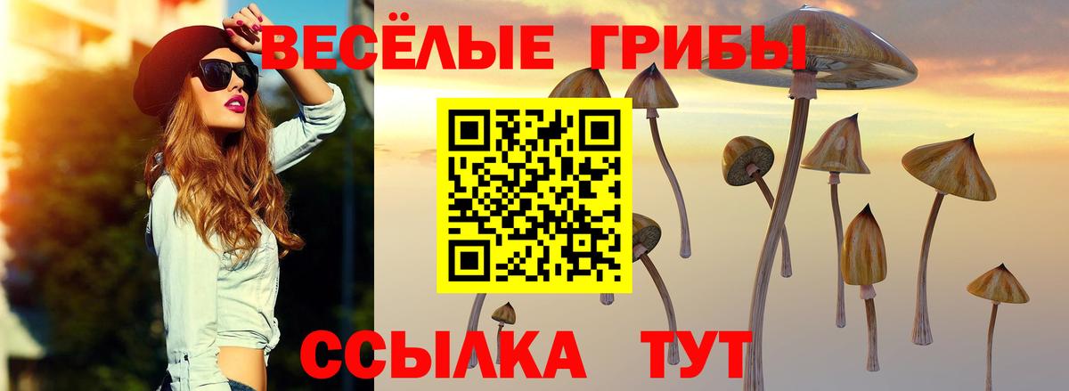 Псилоцибиновые грибы GOLDEN TEACHER Черногорск